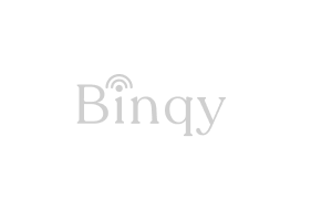Logo: Binqy